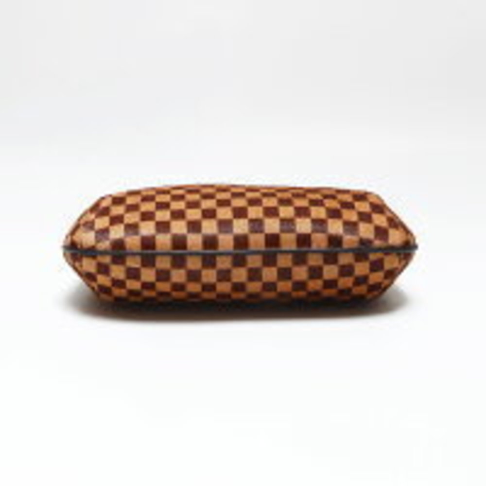 LOUIS VUITTON Damier Sauvage Tiger Handbag Brown - Picture 7 of 12